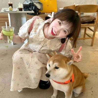苏菲的供词